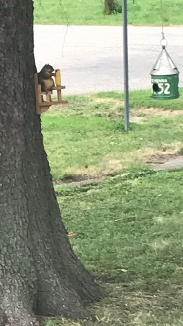 Chair Squirrel Feeder